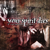 Your Spirit Dies: The Process of Grief - EP