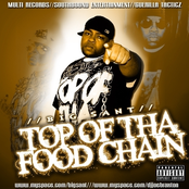 Top Of Tha Food Chain