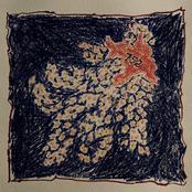 A Flight Separated Us