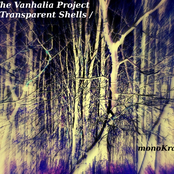 Transparent Shells