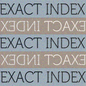 Exact Index