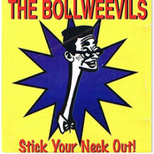 Bollweevils: Stick Your Neck Out