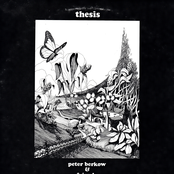 Thesis