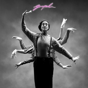 MVDM: The Magical Volumes Vol.1: The Magick Volume of Dark Madder or The Magic Volume of Dark Matter or Simply Magic Volume