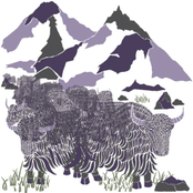 Non Meters, Volume One