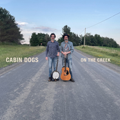Cabin Dogs: On the Creek