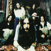 the black crowes