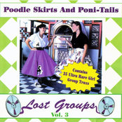Silver Sisters: Poodle Skirts & Poni-Tails: Lost Groups Vol. 3 (Babe)