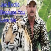 Because You Love Me