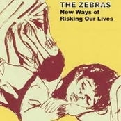 Push Our Way To The Front by The Zebras
