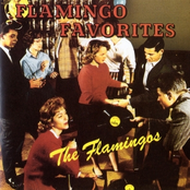 The Flamingos: Flamingo Favorites