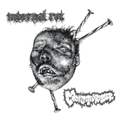 Moisturizer / Internal Rot - Split EP (Undesirable-030)