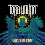 Slaves to Her Beauty