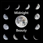 Midnight Beauty