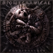 Reborn In Damnation by Biomechanical