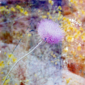 Young Oceans: You Are Fullness