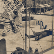 Laid Low - Single