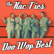Doo Wop Best