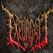 Viscera Insufflation