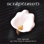 Fulfillment In Tragedy For Cello & Flute by Sculptured