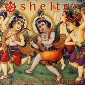 One Concern by Shelter