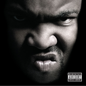 Gorilla Zoe: Welcome To The Zoo