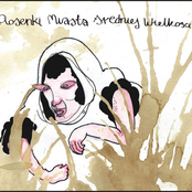 Piosenki Miasta Średniej Wielkości