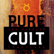 Pure Cult: The Singles 1984-1995