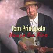 Crazy Mixed Up World by Tom Principato