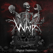 Death And Fear by Whip