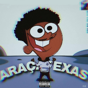 Araçatexas, Vol. 1