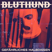 Bluthund – Gefährliches Halbdissen