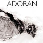 Adoran