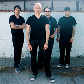 vertical horizon