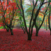 Autumn Master Mashup