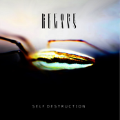Self Destruction