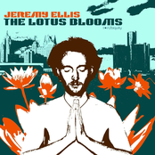 The Lotus Blooms
