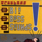 Big Boss Sounds by Reckless Sleepers