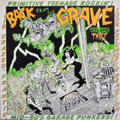Back From The Grave, Volume Three