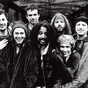 rusted root