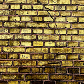 We Never Failed to Obey the Secret Dictate