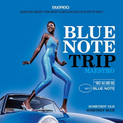 Rodney Jones: Blue Note Trip 6: Somethin' Old