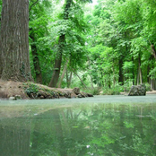 sonidos de la naturaleza