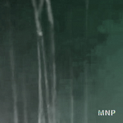 Marine Noise Pollution