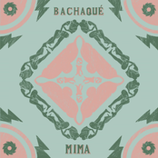 Bachaqué