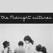 the midnight vultures