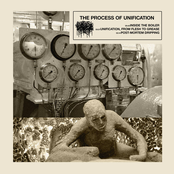 The Process of Unification