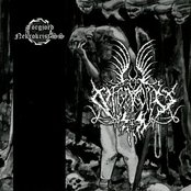 Förgjord / Nekrokrist SS