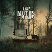 Death Cup by Like Moths To Flames