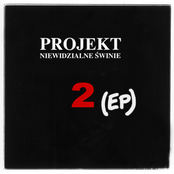 Projekt Niewidzialne Swinie "2" EP